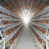 Nouvelle cage à poules pondeuses entièrement automatique de type H pour 5000 oiseaux, en acier galvanisé