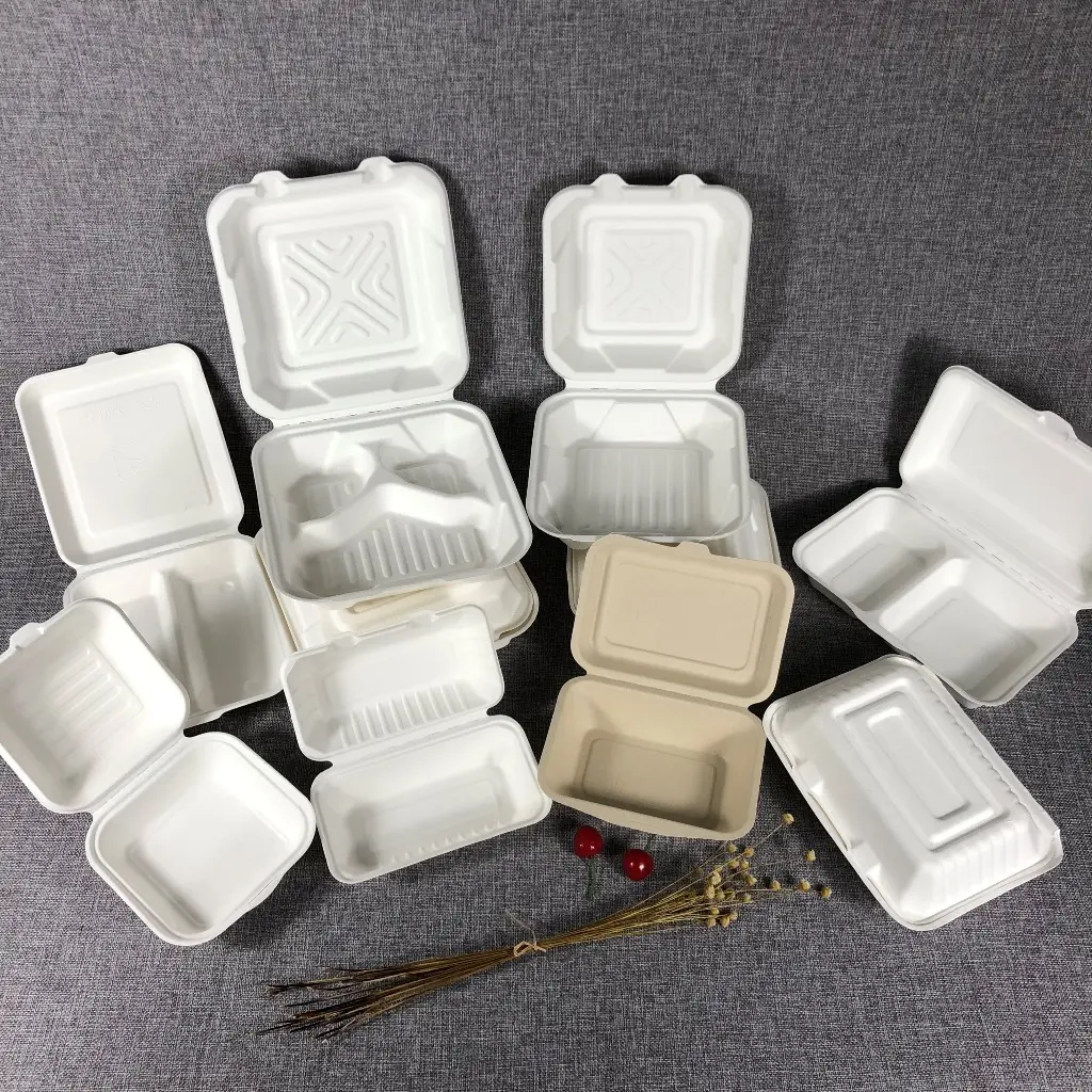 custom biodegradable sugar cane bagasse donut pastry cake packaging food container eco friendly sugarcane burger box