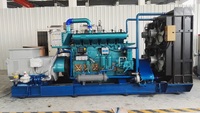 TaiFa TFBG500GF 10-2000KW groupe électrogène à gaz de biomasse à excitation sans balais 230/400V refroidi à l'eau IP23 24V DC démarrage électrique