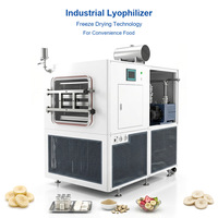 Lyophilisateur de qualité commerciale, machine de séchage par congélation sous vide pour usage professionnel, équipement de lyophilisation