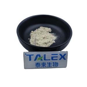 Industrial Laccase | Textile Dye Decolorization & Pulp <b>Bleaching</b> Enzyme - Product Image 1