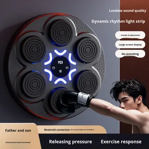 Nuevo Equipo de Entrenamiento de Boxeo con Música LED de PP, Objetivo de Pared, para Adultos, Fitness en Casa, Entrenamiento para Padres e Hijos, Caja de Color - Product Image 5