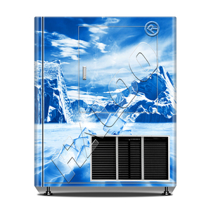 Haloo Máy bán hàng tự động Nhà cung cấp 21.5 inch ngoài trời tự động băng máy bán hàng tự động với tự động đóng bao đồng xu thẻ tín dụng - Product Image 4