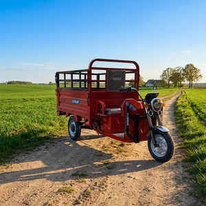 Cargo <b>Tricycle</b> Roadside Vendor Utility Open Bed Tall Rails Side Guard Panels For Daily Stock Refill And Market Stops - Product Image 1