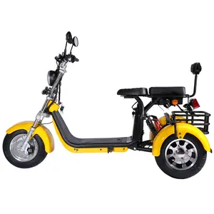 Motor Electric Motorcycle Citycoco High Speed Electric Tricycle Reverse Trike Off Road Scooter Electric Motorcycle