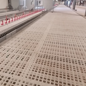Sistema de Piso de Rejilla para Gallinero, Alfombra de Malla de Rejilla, Cría de Pollos, Avicultura, Piso de Plástico para Aves de Corral - Product Image 5