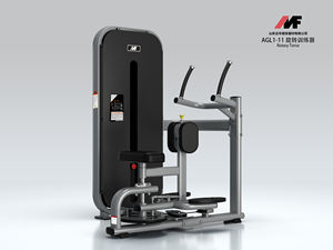 Équipement de <span class=keywords><strong>musculation</strong></span> pour salle de sport <span class=keywords><strong>Machine</strong></span> à torse rotative AGL1-11 équipement de fitness - Product Image 3