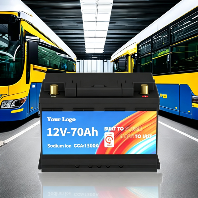 OEM ODM 12V 12 Volt 50Ah 70Ah 100Ah 200Ah Auto Sodium Ion Battery Packs Car Starter Battery CCA 1300 Golf Carts Anode Material