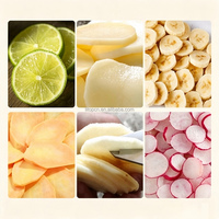 Vier-gaats fruit- en groentesnijmachine, food grade, neerwaartse snijmachine voor aardappel, ananas, augurken, aubergine, banaan, sinaasappel