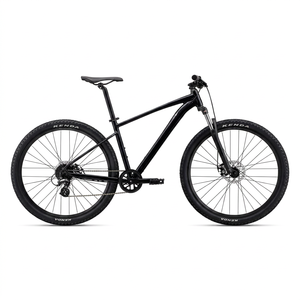 จักรยานเสือหมอบ Affordable-Talonnnnnn4 2026 ราคาประหยัดสำหรับขาย - Product Image 1