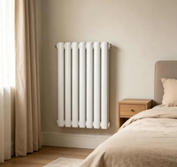 Radiateur hydronique mural vertical en acier à haute efficacité, meilleur prix pour les applications de chauffage central pour les écoles et les systèmes CVC