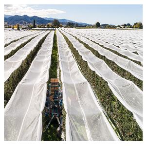 Red <span class=keywords><strong>antigranizo</strong></span> de PE, red de <span class=keywords><strong>malla</strong></span> para agricultura/red para plantas JC001 - Product Image 1