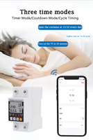 63A TUYA WiFi Medidor inteligente Protector de voltaje Disyuntor Dispositivo de relé de energía Interruptor de control inalámbrico para AC Smart Houseware