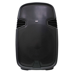 ลำโพงเวทีแบบ Passive ขนาด 15 นิ้ว 100 วัตต์ 4 โอห์ม เสียงระดับมืออาชีพ ผลิตในอิตาลี - Product Image 2
