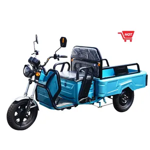 Nuovo arrivo classico 60v 800w consegna triciclo elettrico 3 ruote bici per il carico