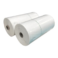 Film plastique transparent en polyéthylène 6 mil, anti-UV, transmission lumineuse 89 %, bâche plastique pour serre, protection UV pour serre