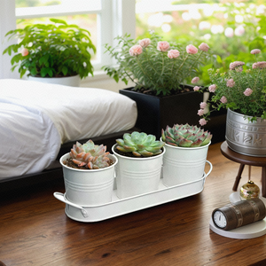 Decorazione funzionale fioriera per interni Kit di <span class=keywords><strong>piante</strong></span> in metallo vaso di fiori per bambini e fiori per casa Set di vasi per erbe - Product Image 2