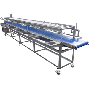 Sebze ve Meyve Seçme Konveyörü, Lambalı Kontrol Masası Konveyörü, LED Işıklı Konveyör - Product Image 1