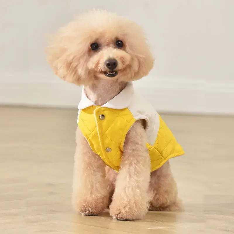 สีเหลือง