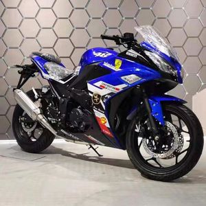 <span class=keywords><strong>Moto</strong></span> de course à grande vitesse <span class=keywords><strong>400</strong></span> <span class=keywords><strong>CC</strong></span>, bicylindre 4 temps, refroidissement liquide, ABS, moteur à essence pour adultes, directement de l'usine - Product Image 4