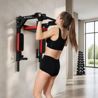 Bar Pull Up Dinding Multifungsi Grosir, Stasiun Latihan Dinding untuk Pull Up, Dip, Core, Home Gym, Latihan Kekuatan