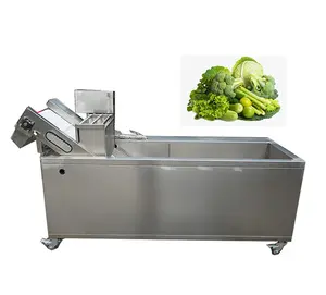 ZH Commercial bubble type food cleaner fruit washer vegetable washing machine