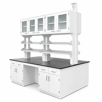Meuble de laboratoire modulaire moderne : îlot de travail avec armoires en acier, armoires de rangement supérieures et étagères à réactifs pour laboratoires
