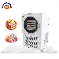 Commerciële voedseldroogmachine met kleine tot middelgrote capaciteit, fruitdroger, dehydrator, rundvleesdroogmachine, bananendroger, champignondroger