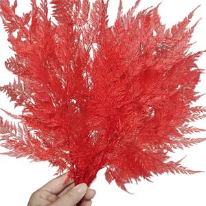 Букет из вечных цветов «Снежинка-Папоротник», элитный букет из натуральных цветов, материал для DIY, украшение на день рождения, подарочная коробка, стеклянная крышка, Китай, легкий - Product Image 5