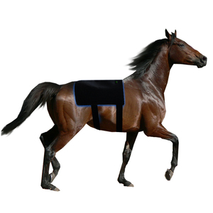 Taille personnalisée Longueur d'onde Portable 440nm 660nm 850nm Chevaux Thérapie équine Coussinets de thérapie par la lumière bleue pour le dos des chevaux - Product Image 2