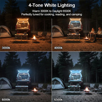 Kit de barre lumineuse extérieure à dimmable pour camping-car, éclairage portable tout-en-un étanche Ip67, tente de camping et remorque