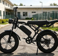 Vélo électrique à pneus de 20 pouces avec fourche à suspension rétro pour la ville et la plage
