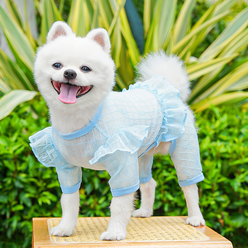 489 Four-legged Blue Skirt Pants