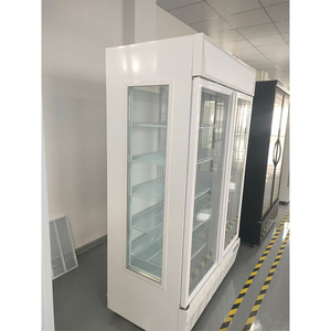 Congélateur à <span class=keywords><strong>porte</strong></span> en verre réfrigérateur de refroidissement de supermarché pratique pour l'affichage des aliments congelés - Product Image 3
