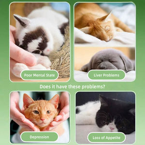 Complément Nutritionnel Biologique en Gel <span class=keywords><strong>pour</strong></span> Animaux de Compagnie, Pâte Hépatique <span class=keywords><strong>pour</strong></span> Chiens et Chats, Soutient la Santé du Foie et du Système Immunitaire, Absorption Rapide, 30ml - Product Image 5