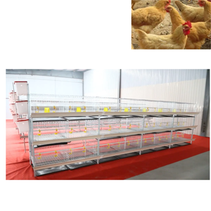 <span class=keywords><strong>H</strong></span>-Typ Geflügel-Broiler-Batteriekäfige <span class=keywords><strong>H</strong></span>ühnerkäfige Feuerverzinkte Batteriekäfige - Product Image 5