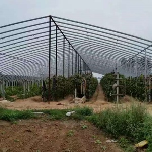 Large Plastic <strong>Poly</strong> Film Agriculture Greenhouse Low <strong>Cost</strong> High <strong>Tunnel</strong> for Growing Vegetables Hydroponic Agriculture Greenhouse - Product Image 3