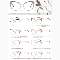 MS 82178 2024 Nouvelles femmes TR90 + Monture de lunettes œil de chat en métal Lunettes optiques anti-lumière bleue Design de mode coloré Logo personnalisé