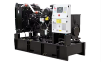 Groupe électrogène diesel Taishan 20 kW, type ouvert ou silencieux, 1/3 phase, refroidissement par eau, IP23, portable, mobile, haute puissance, 25 kVA, 50/60 Hz
