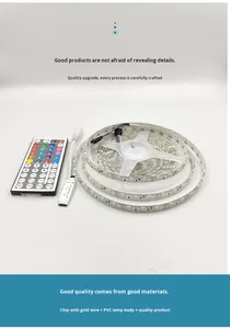 Ip65 Lớp 12VRGB Ánh Sáng Phát Ra Diode Thay Đổi Độ Sáng Linh Hoạt Với Điều Khiển Từ Xa PVC Dải Ánh Sáng Cho Trang Trí - Product Image 2