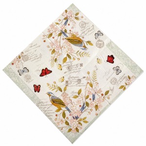 Serviettes de cocktail carrées jetables douces à 4 plis imprimées en pâte de bois vierge, 2 plis, pour fêtes - Product Image 1
