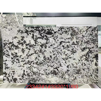 Dalle et carrelage de granit gris rétro-éclairé Splendor White Alaska pour comptoirs et marches d'escalier ou cheminée de Chine