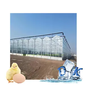 New intelligent practical type glass greenhouse automatic control drawings free design intelligent greenhouse
