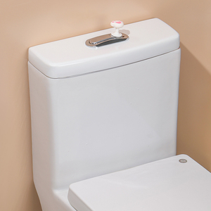 Usine OEM mignon chat salle de bain bouton de commutation de <span class=keywords><strong>chasse</strong></span> <span class=keywords><strong>d</strong></span>'<span class=keywords><strong>eau</strong></span> <span class=keywords><strong>d</strong></span>écoration de la maison outil propre <span class=keywords><strong>poussoir</strong></span> de toilette - Product Image 5
