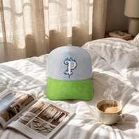 Gorra de Béisbol de 5 Paneles en Gamuza con Bordado 3D, Logotipo Personalizable, Unisex, Venta Directa de Fábrica
