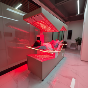 Matras PEMF 660nm 850nm Terapi Cahaya Merah Inframerah untuk Terapi Cahaya Merah PEMF Kelas Medis 75Hz untuk Nyeri dan Peradangan - Product Image 1