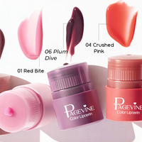 PAGE VINE Explosive Twisted Lipstick Sérum Hydratant pour les Lèvres Commerce Extérieur Maquillage Huile pour les Lèvres Brillant à Lèvres Trendy Beauty