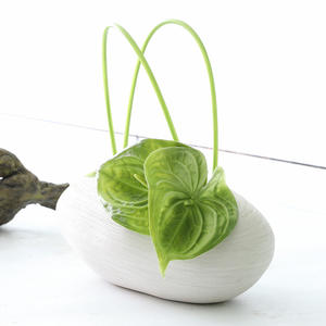 Planta Artificial de Anturio Grande, Estilo Europeo, Hecha a Mano, de Alta Calidad, Color Blanco y Verde, Tacto Realista, Centro de Mesa de PU para Bodas - Product Image 4