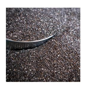 เมล็ดเชียดำแห้งขายส่งจำนวนมาก เครื่องเทศและสมุนไพรเดี่ยว ผลิตภัณฑ์อาหาร ซุปเปอร์ฟู้ดจากพูมา อุตสาหกรรมเกษตร จากผู้ผลิต - Product Image 1