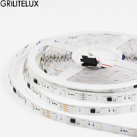 Bande lumineuse LED 5050 RVB adressable individuellement WS2811 WS2812B WS2813 DC12V 24V 10mm PCB 60 LEDs/m bande de pixels programmable